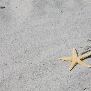 Appartamento Lust Auf Meerblick Und